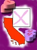 californiavote.jpg - 18kb